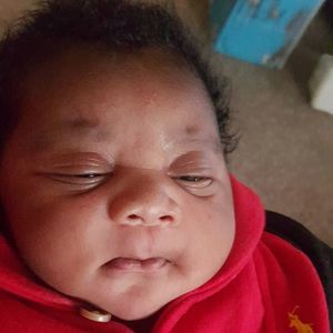 Meet your Posher, Raven